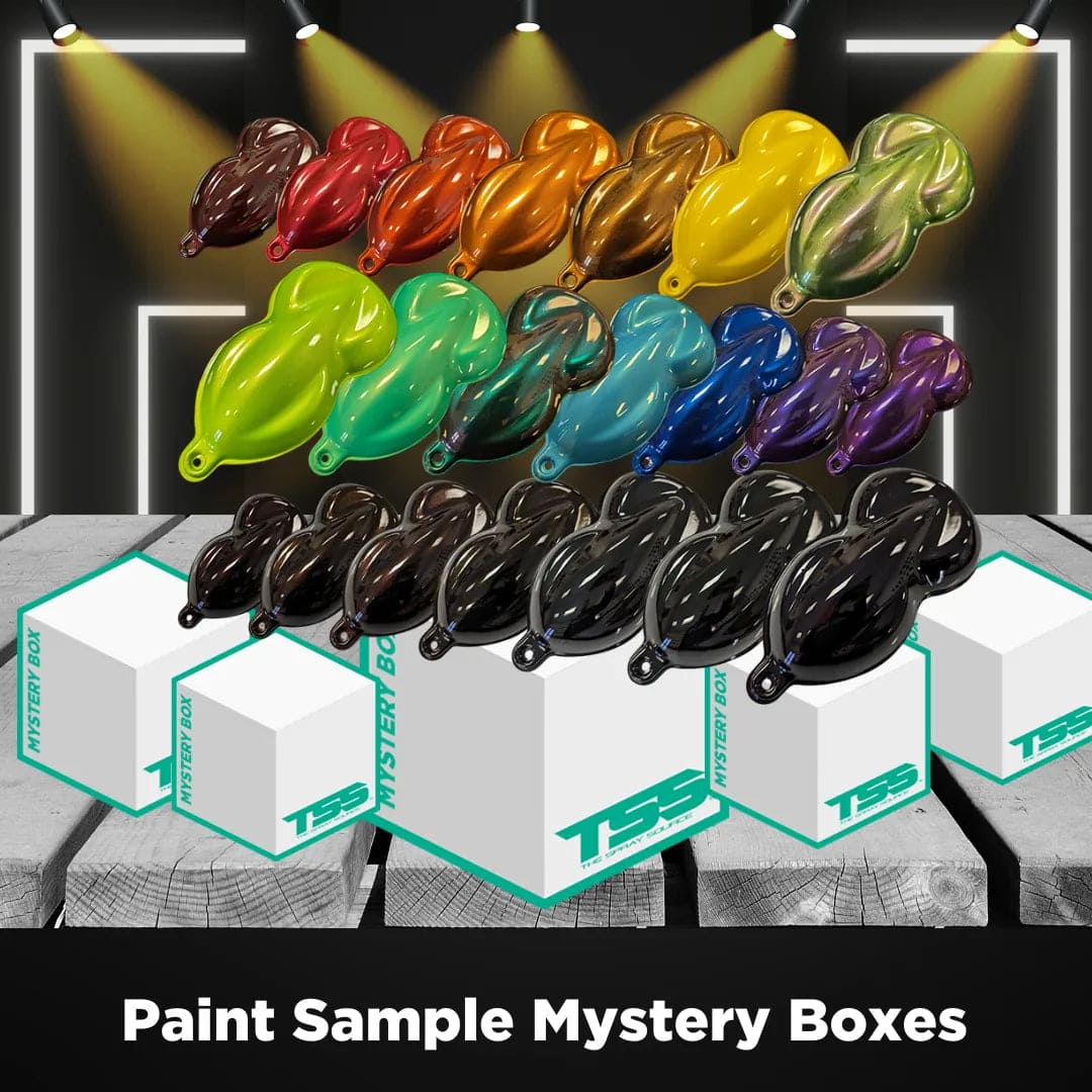 Paint Sample Mystery Box