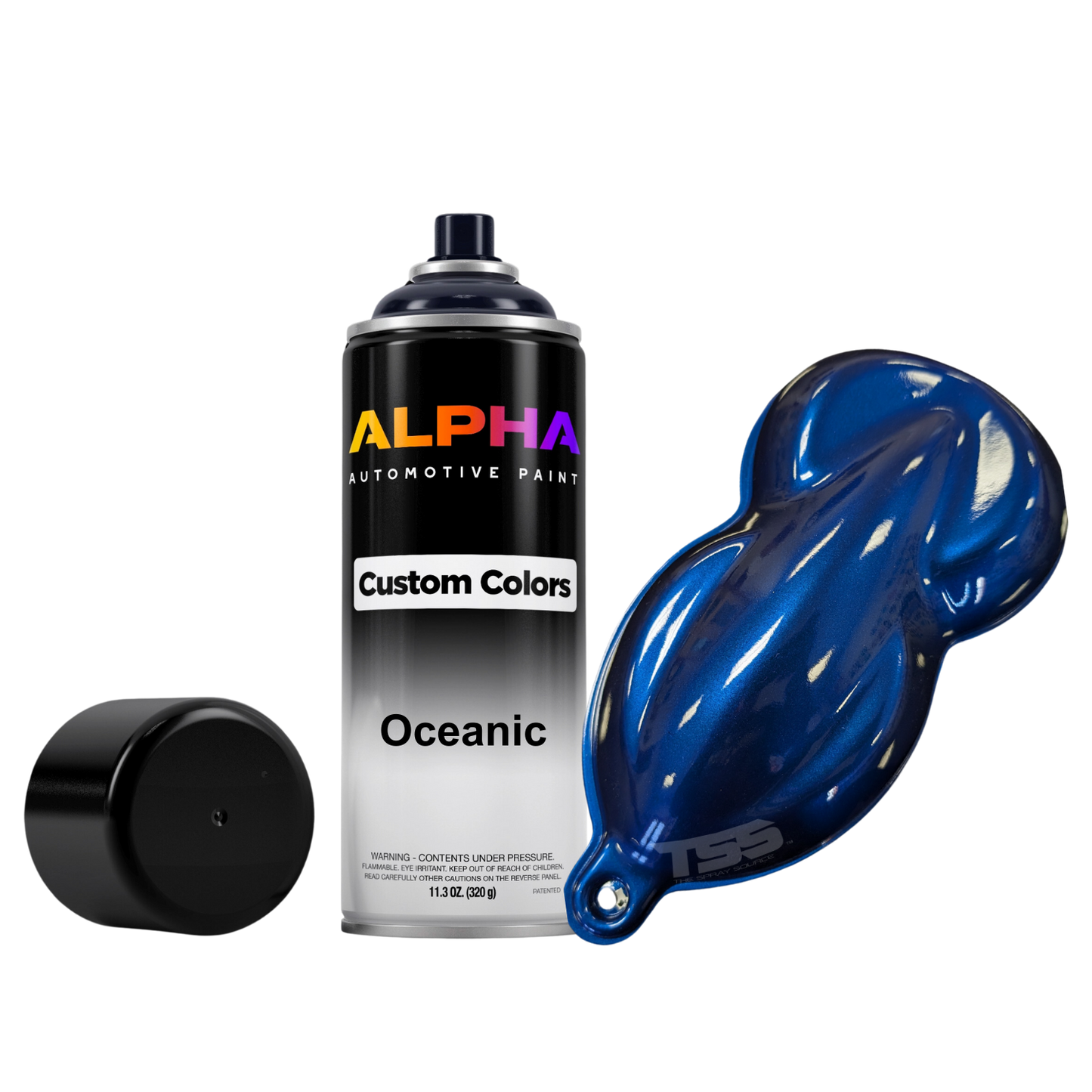 Oceanic Bike Paint Kit