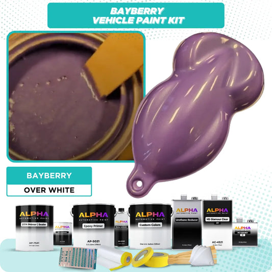 Bayberry Vehicle Paint Kit