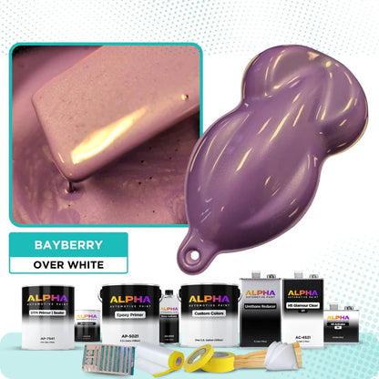 Bayberry Vehicle Paint Kit