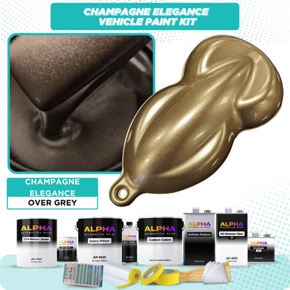 Champagne Elegance Vehicle Paint Kit