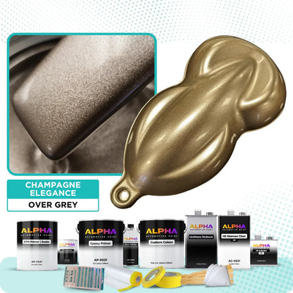 Champagne Elegance Vehicle Paint Kit