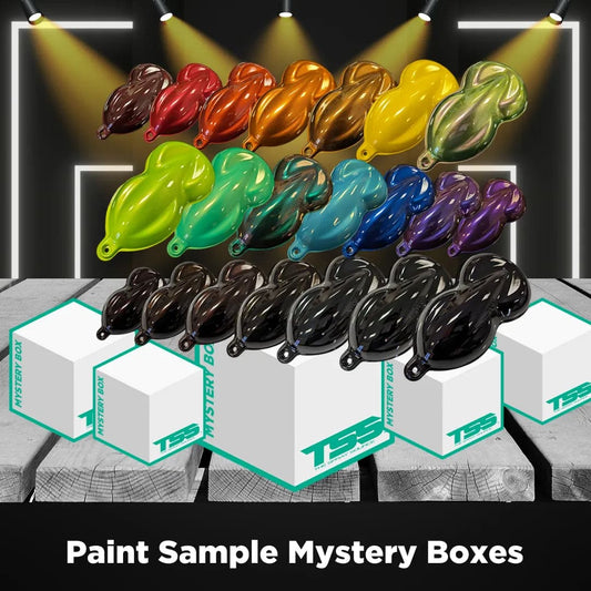 Paint Sample Mystery Box