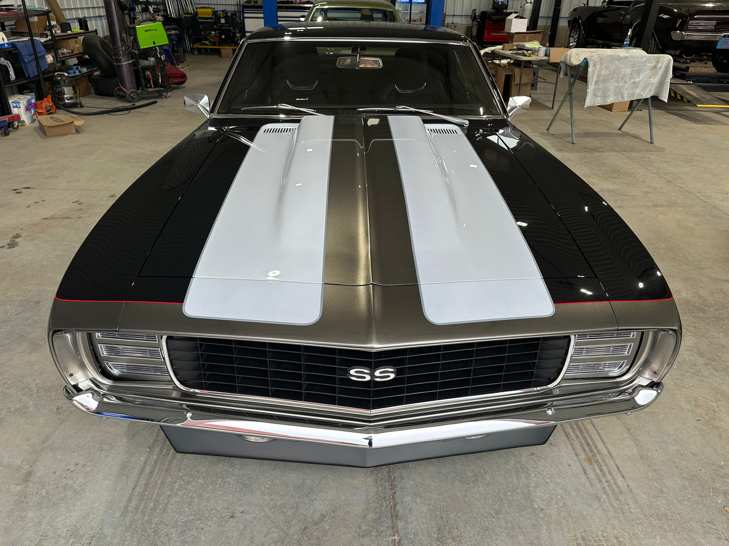 Grizzly Gray Paint Basecoat
