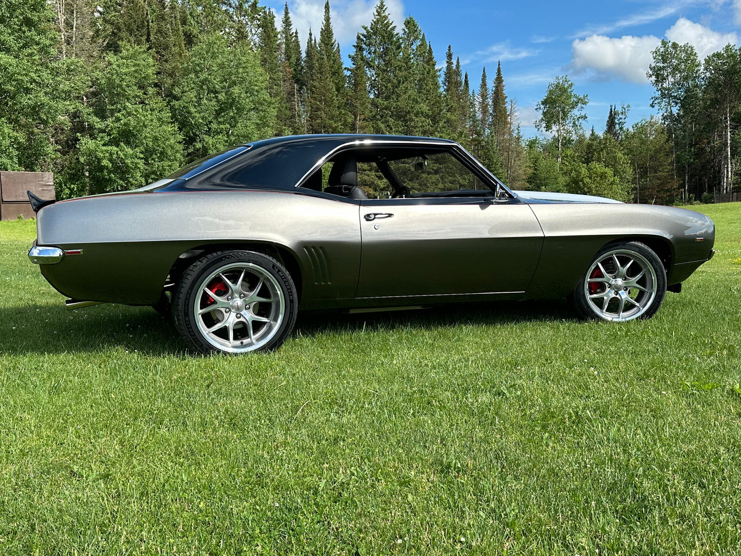 Grizzly Gray Paint Basecoat