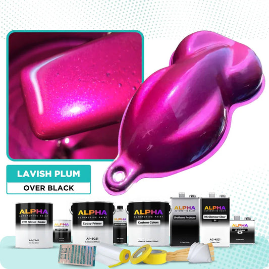 Lavish Plum Vehicle Paint Kit