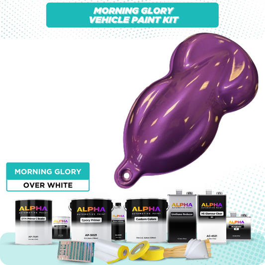 Morning Glory Vehicle Paint Kit