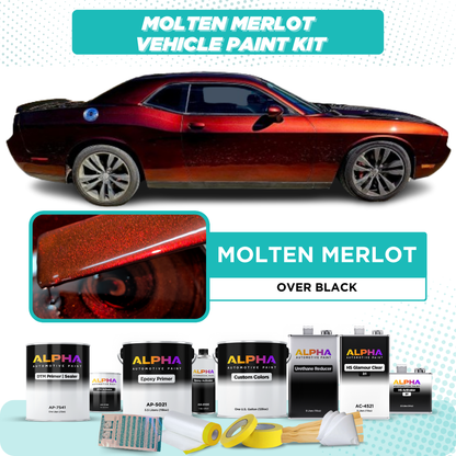 Molten Merlot Vehicle Paint Kit