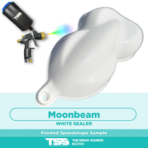 Moonbeam Painted Sample (White Ground Coat)