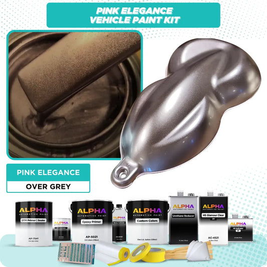 Pink Elegance Vehicle Paint Kit