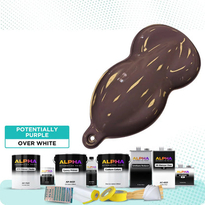 Potentially Purple Vehicle Paint Kit (White Sealer)