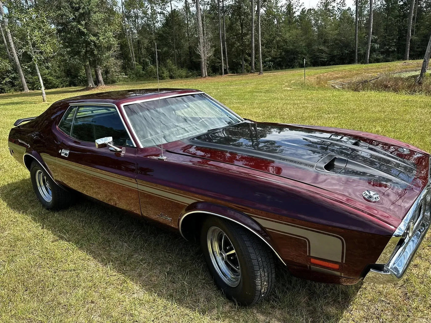 Phantom Red Paint Basecoat