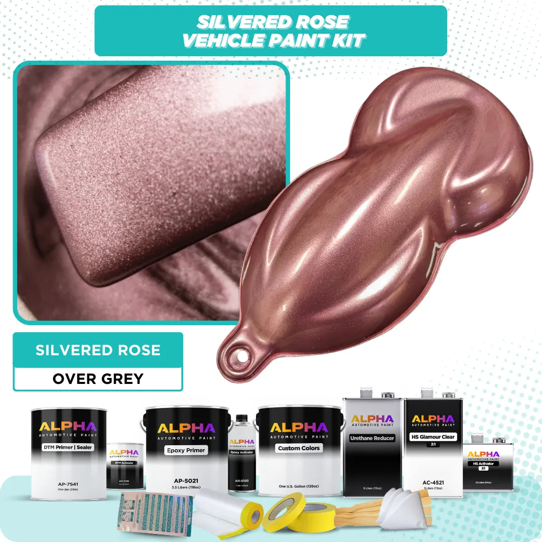 Silvered Rose Vehicle Paint Kit