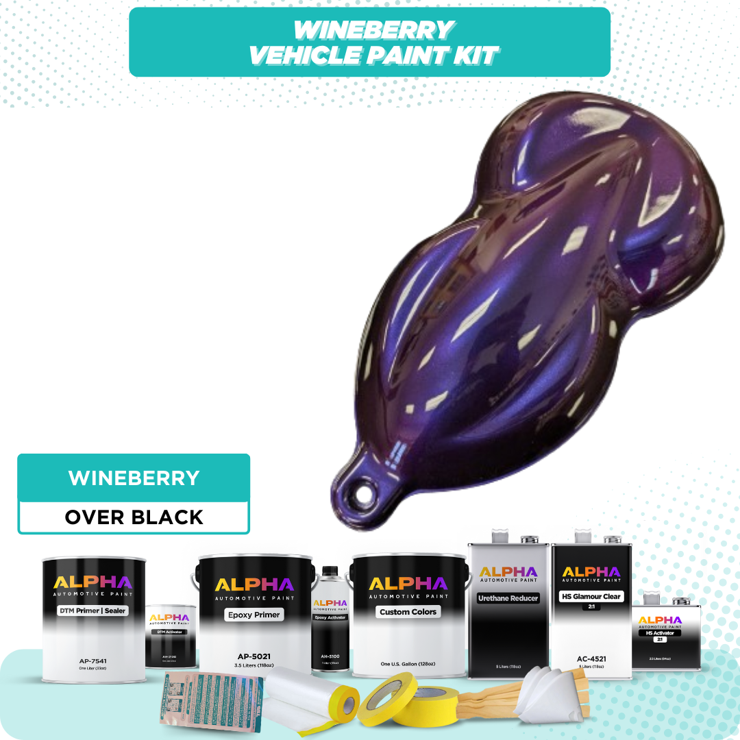 Wineberry Vehicle Paint Kit