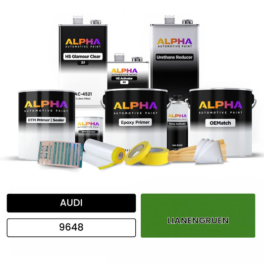 AUDI Lianen Green 9648 OEMatch Vehicle Paint Kit