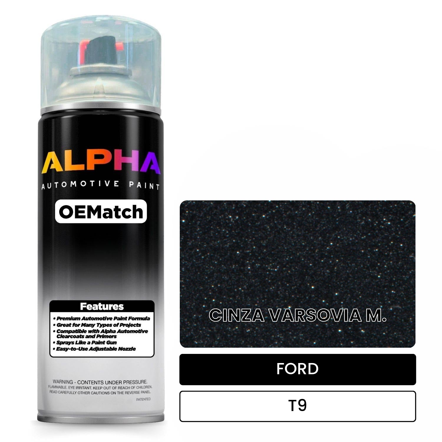FORD CINZA VARSOVIA M. T9 OEMatch Spraycan