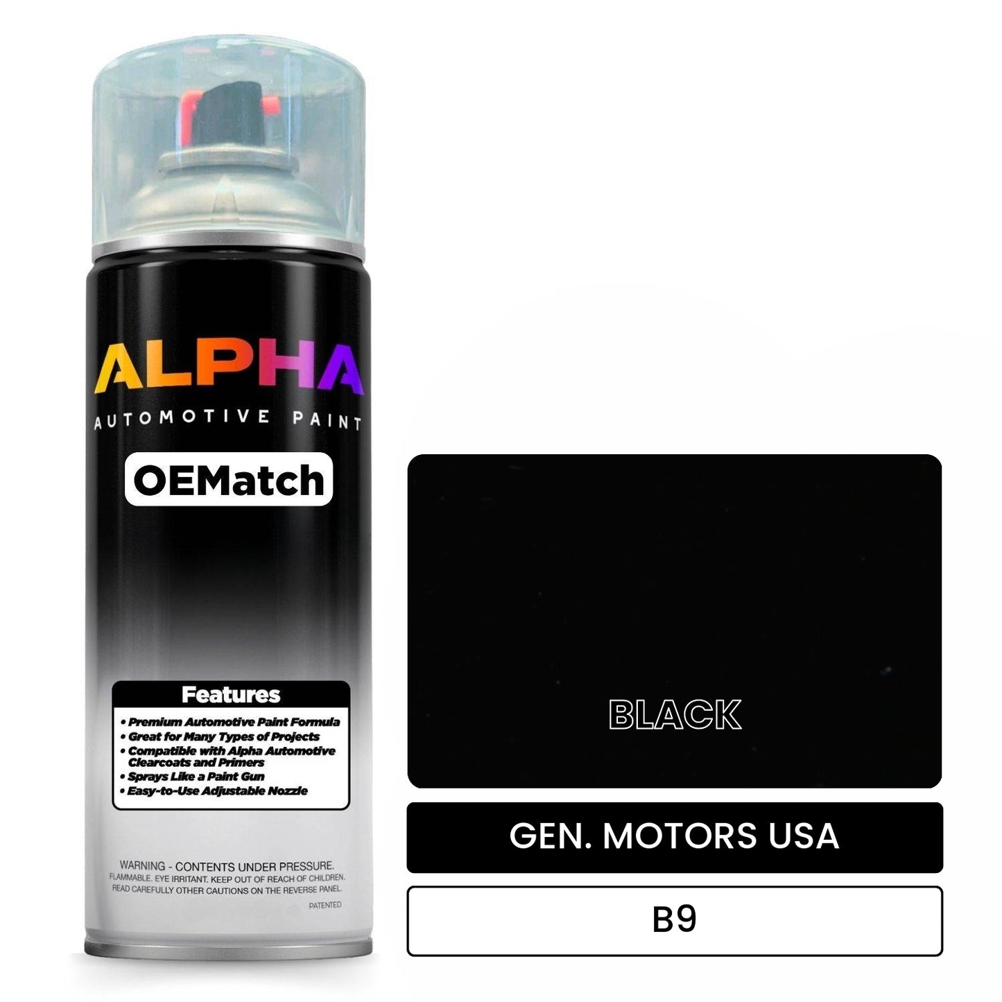 GEN. MOTORS USA BLACK B9 OEMatch Spraycan