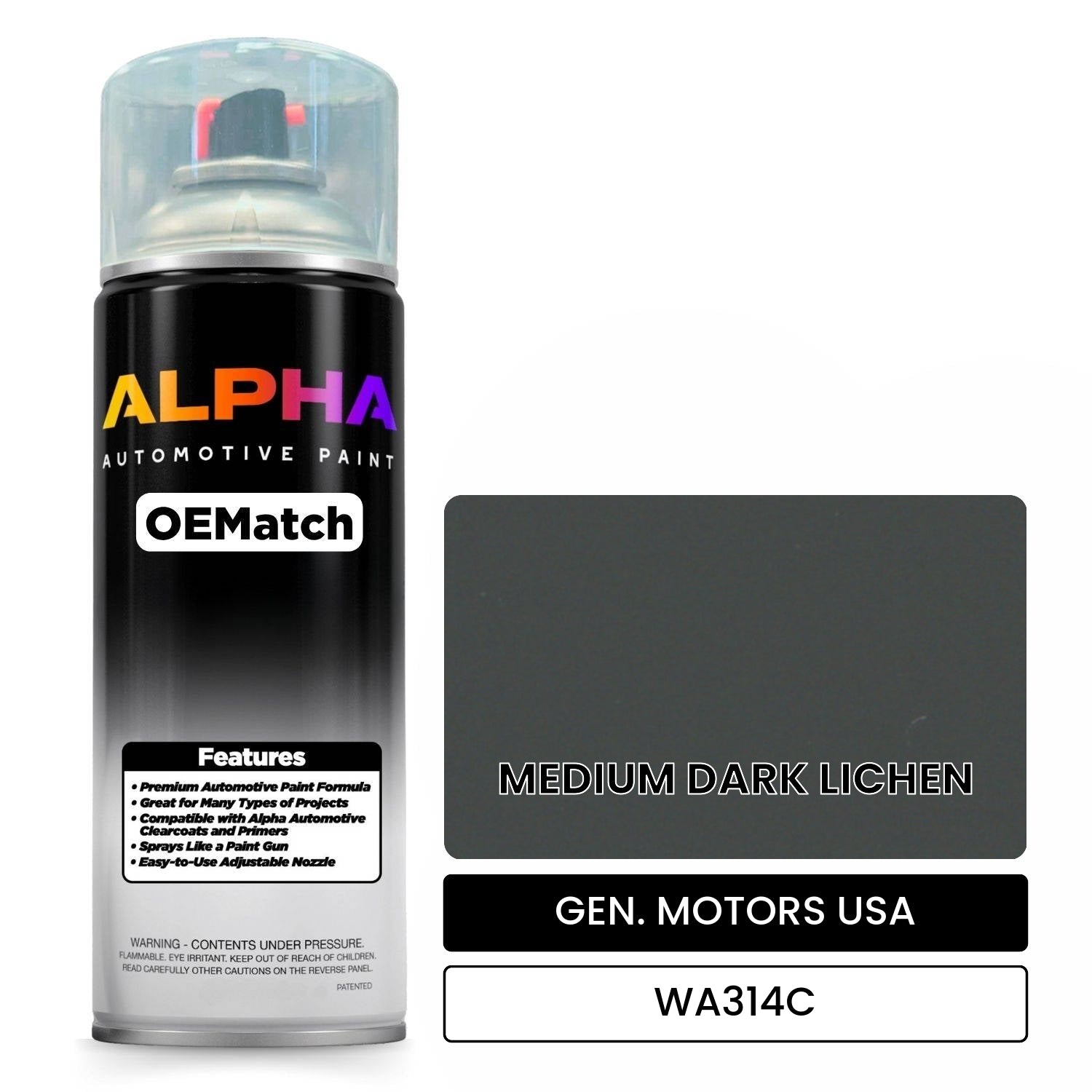 GEN. MOTORS USA MEDIUM DARK LICHEN WA314C OEMatch Spraycan