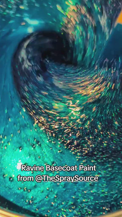 Ravine Vehicle Paint Kit