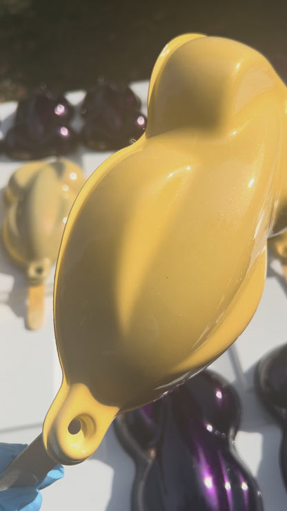 Yellow Soft Shift Vehicle Paint Kit