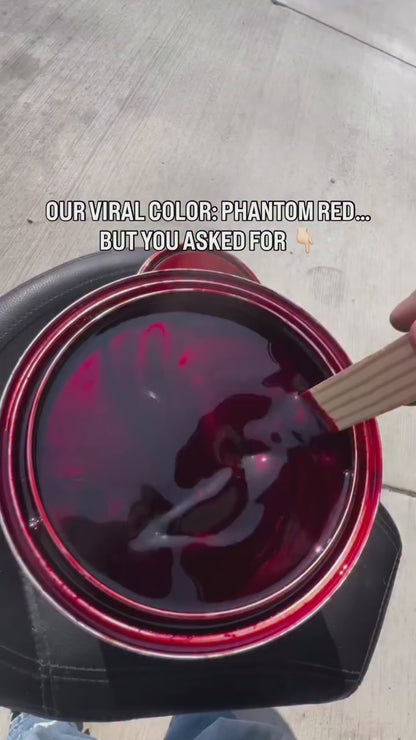 Phantom Purple Vehicle Paint Kit