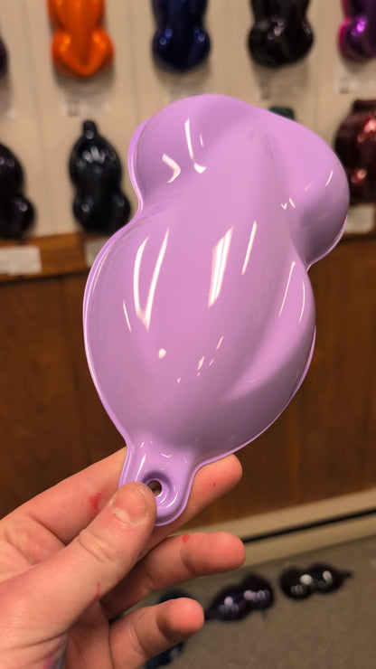 Serene Violet Vehicle Paint Kit