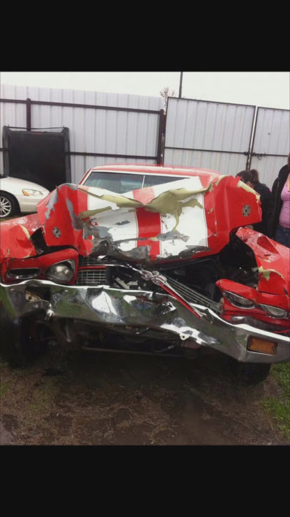 Dreamsicle Painted Sample (White Ground Coat)