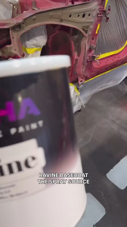 Ravine Vehicle Paint Kit