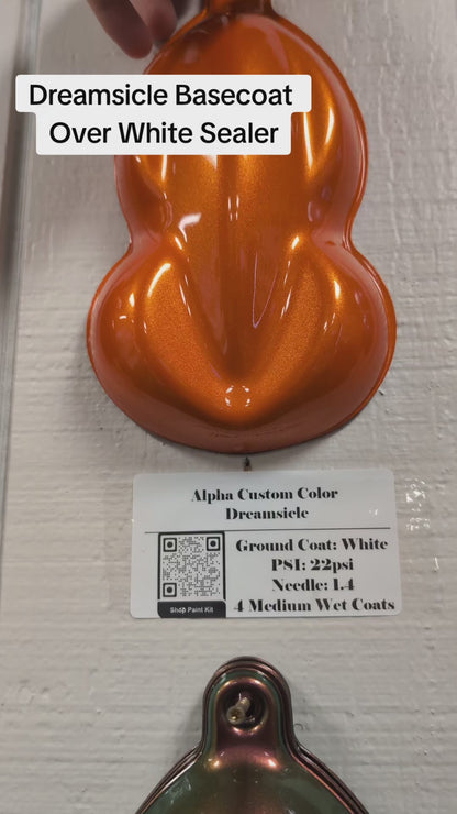Dreamsicle Painted Sample (White Ground Coat)