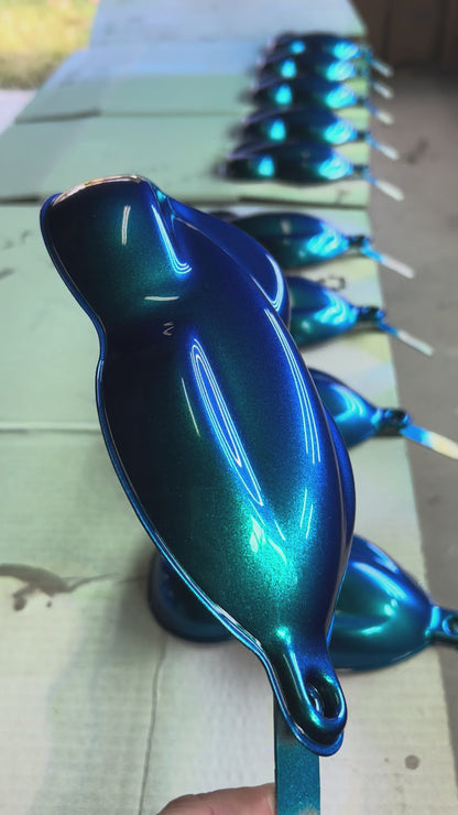 Ravine Vehicle Paint Kit