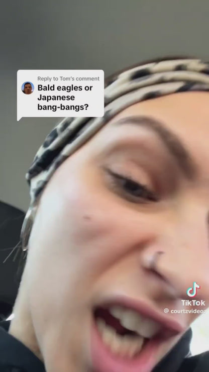 Zenith over Mist Green Vehicle Paint Kit