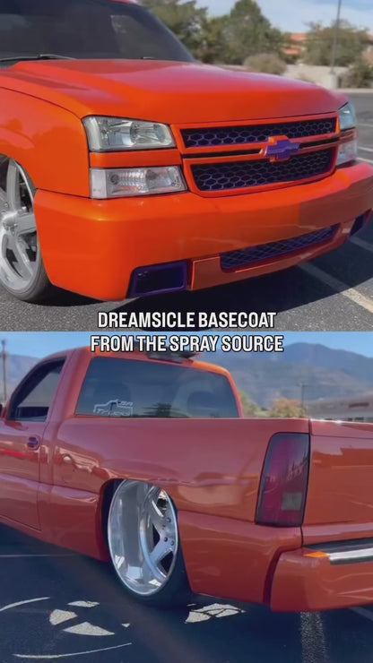 Dreamsicle Painted Sample (White Ground Coat)