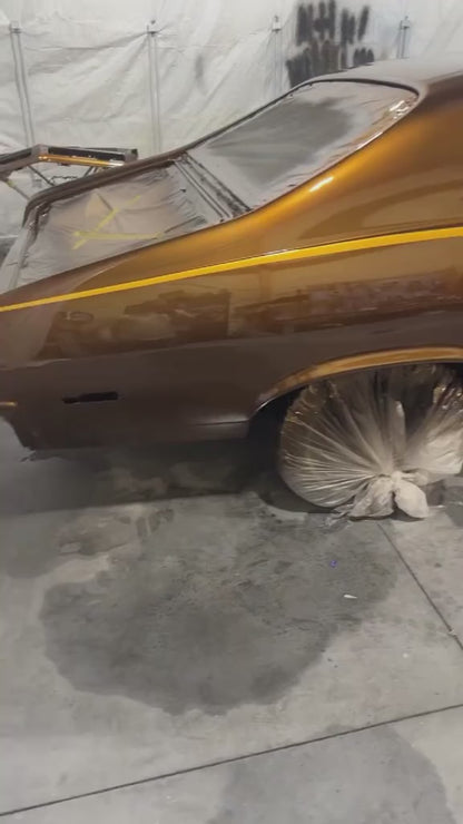 Molasses Vehicle Paint Kit