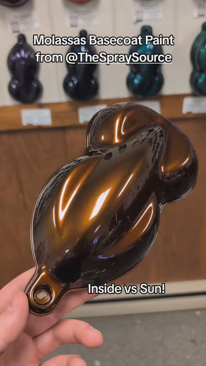 Molasses Vehicle Paint Kit