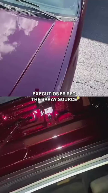 Executioner Red Painted Sample (Black Ground Coat)