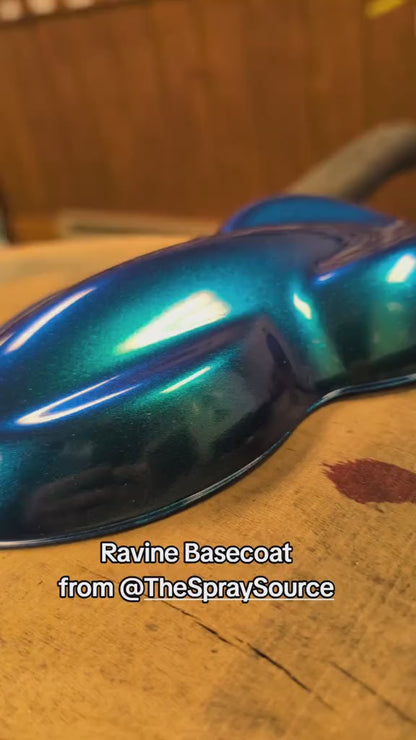 Ravine Vehicle Paint Kit