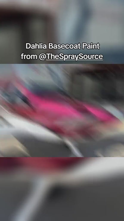 Dahlia Painted Sample (Black Ground Coat)