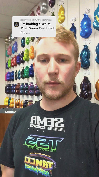 Sun Gem Painted Sample (White Ground Coat)