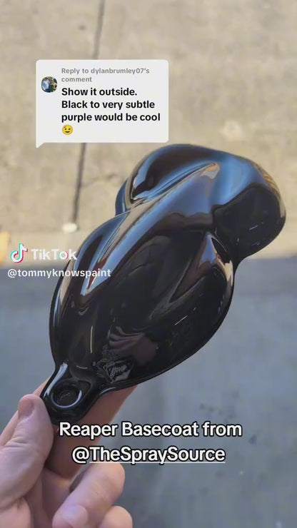 Reaper Vehicle Paint Kit