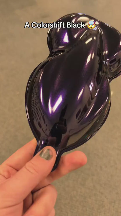 Cosmos Painted Sample (Black Ground Coat)