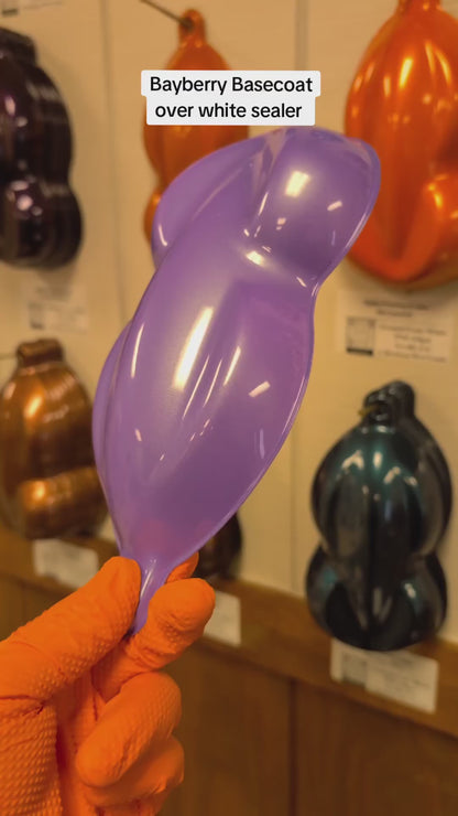 Bayberry Painted Sample (White Ground Coat)