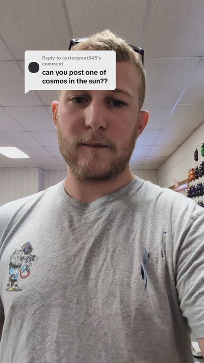 Cosmos Painted Sample (Black Ground Coat)