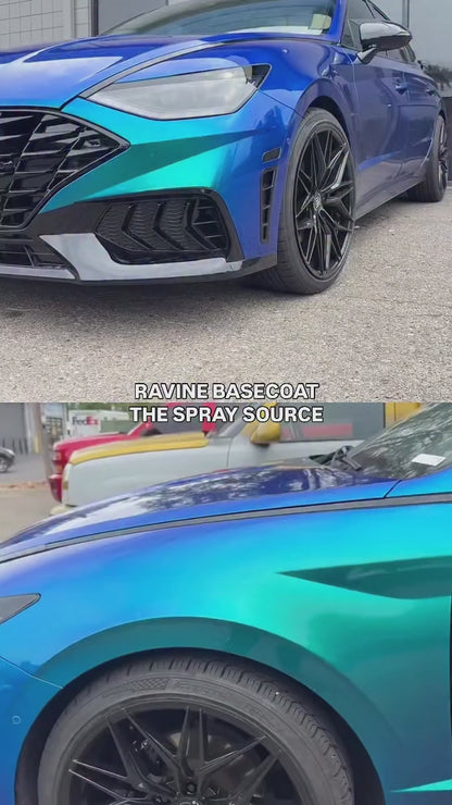 Ravine Vehicle Paint Kit