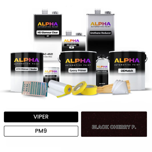 VIPER BLACK CHERRY P. PM9 OEMatch Vehicle Paint Kit